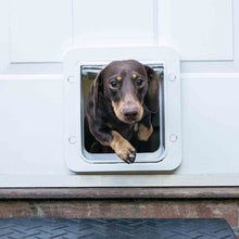 SureFlap Microchip Pet Door Connect with Hub