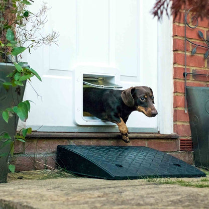 SureFlap Microchip Pet Door Connect with Hub