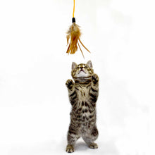 Feath r Leather Dangling Cat Toy