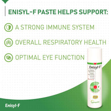 Enisyl F-Paste For Cats - 100ml