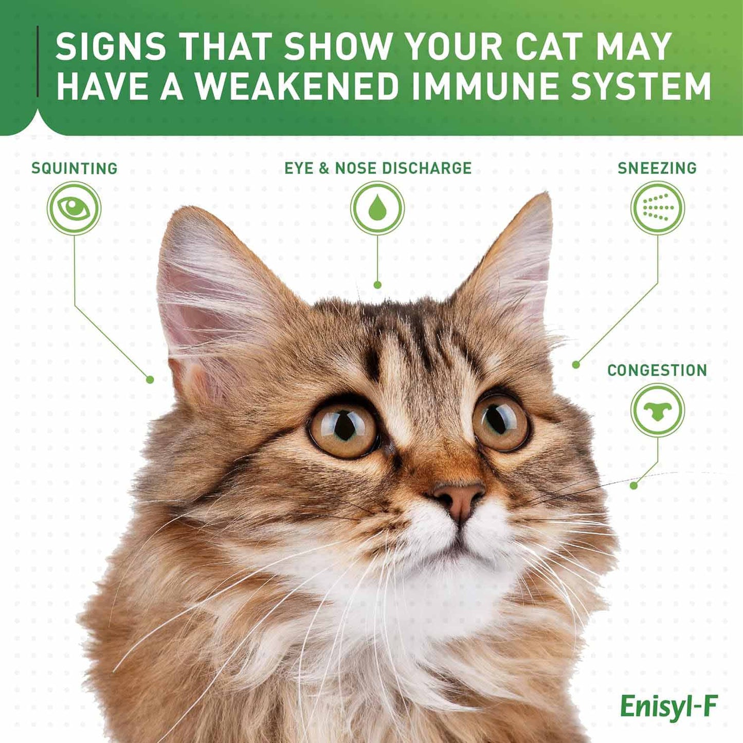 Enisyl F-Paste For Cats - 100ml