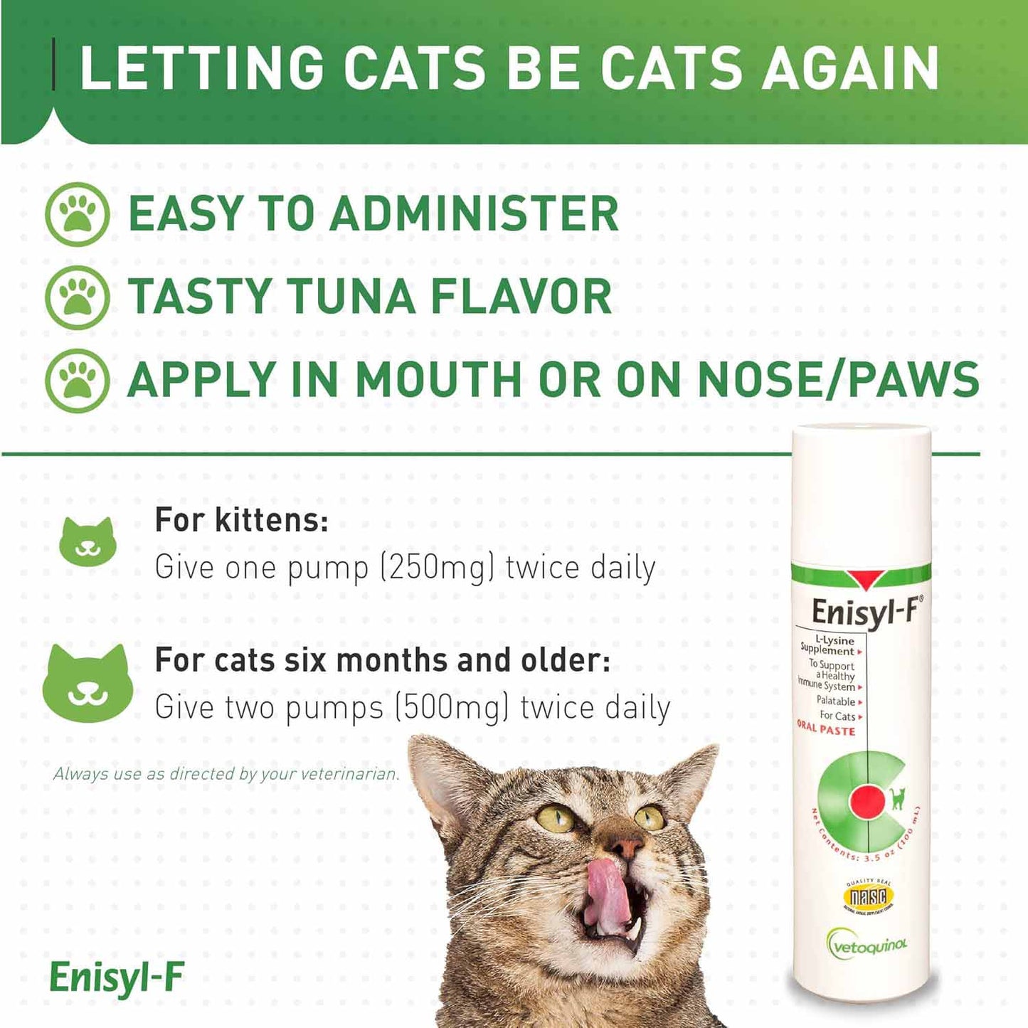 Enisyl F-Paste For Cats - 100ml