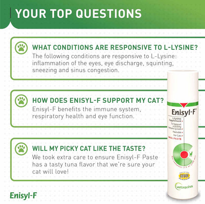 Enisyl F-Paste For Cats - 100ml