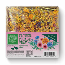 Small Pet Select Flower Forage Tray