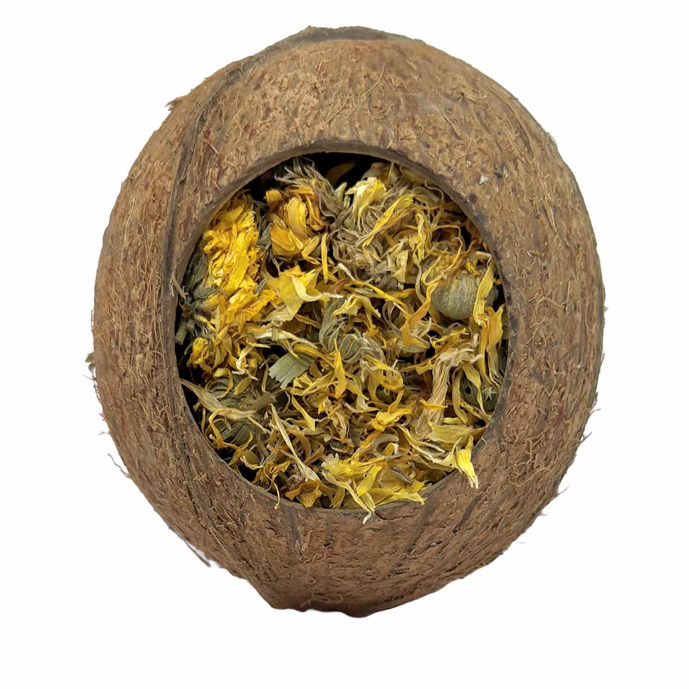 Natural Nibbles Forage Filled Coconut