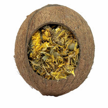 Natural Nibbles Forage Filled Coconut