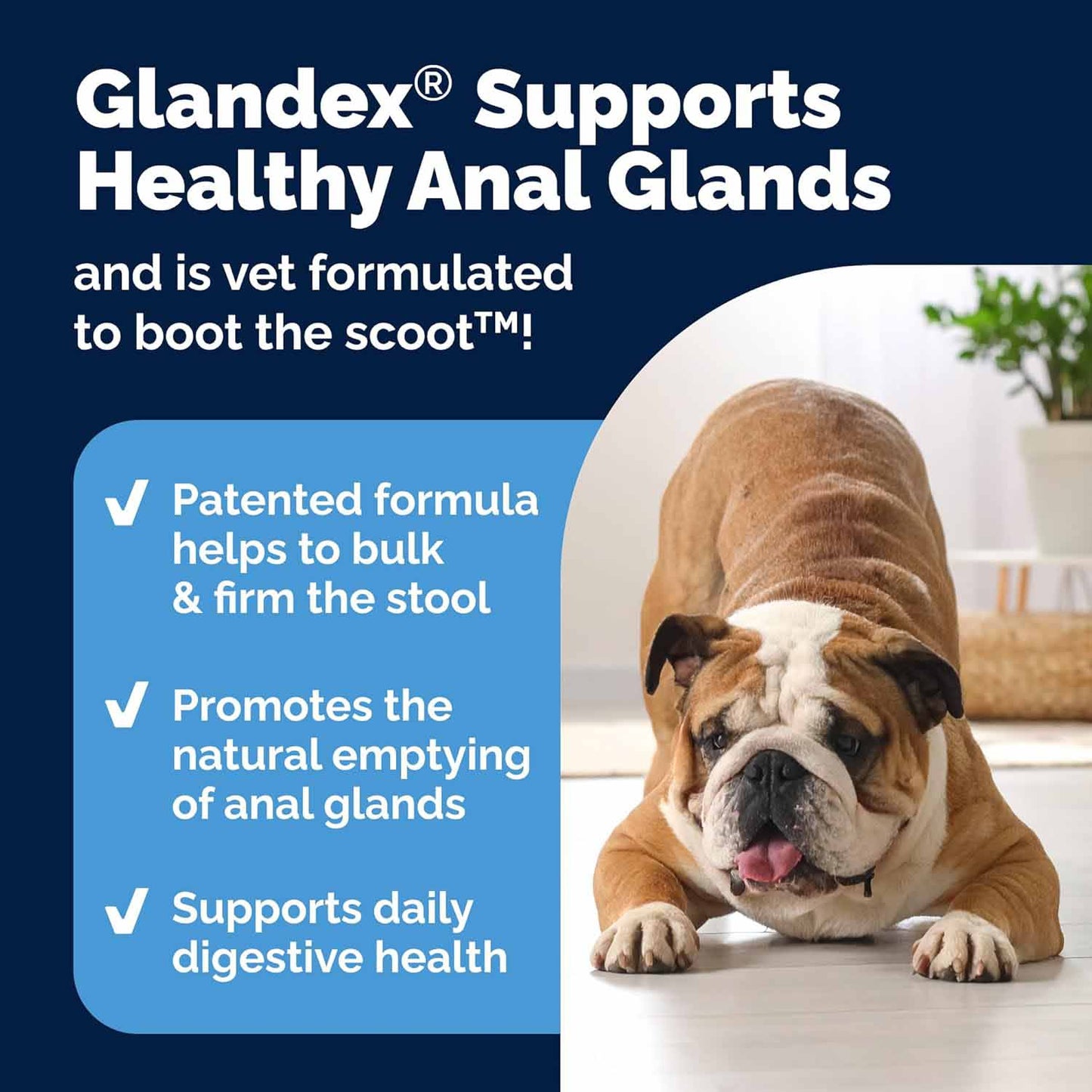 Glandex Anal Gland for Dogs - 120 Chewable Tablets