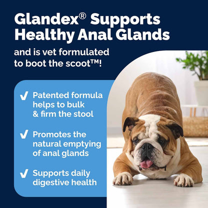 Glandex Anal Gland for Dogs - 120 Chewable Tablets