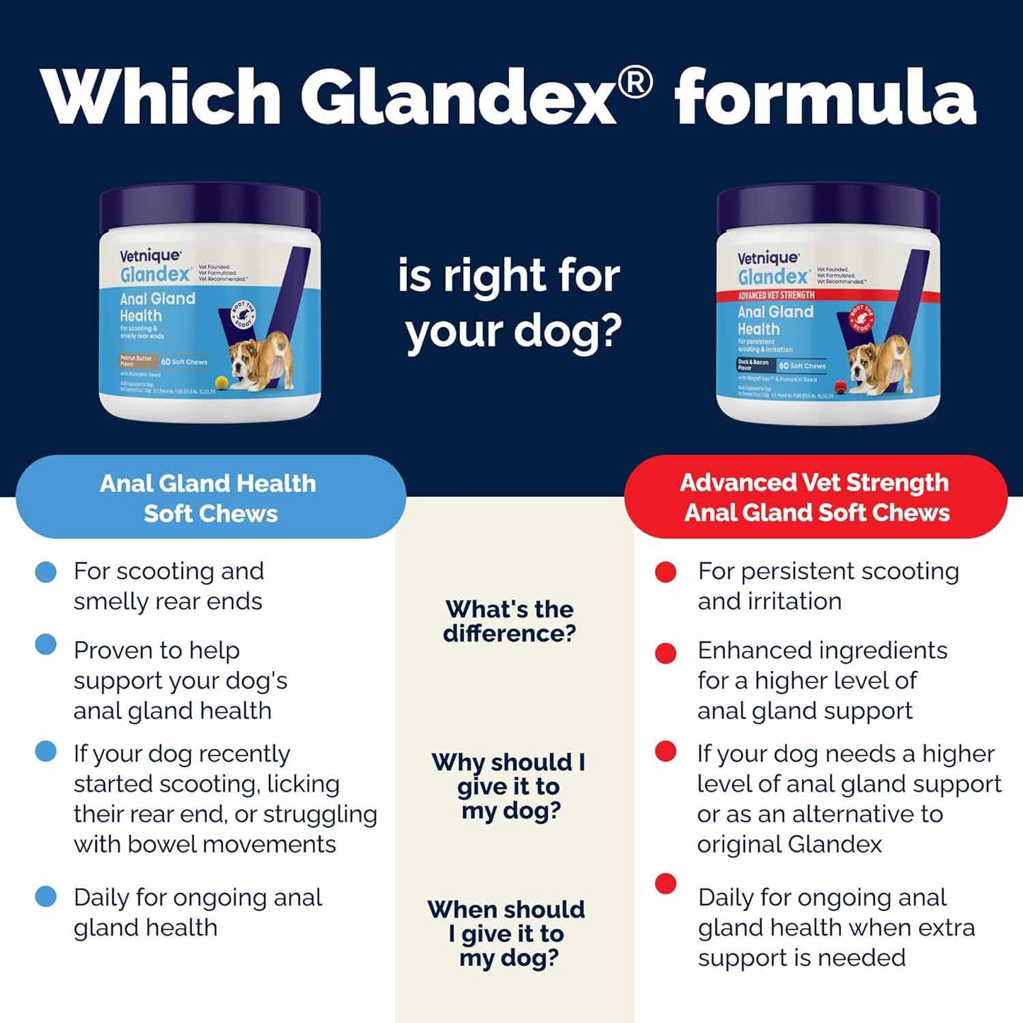 Glandex Anal Gland for Dogs - 120 Chewable Tablets