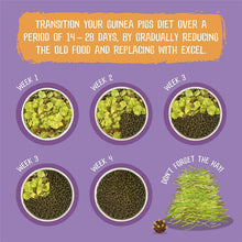 Burgess Excel Tasty Nuggets for Guinea Pigs - Blackcurrant & Oregano