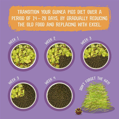Burgess Excel Tasty Nuggets for Guinea Pigs - Blackcurrant & Oregano