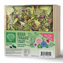 Small Pet Select Herb Forage Tray