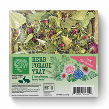 Small Pet Select Herb Forage Tray