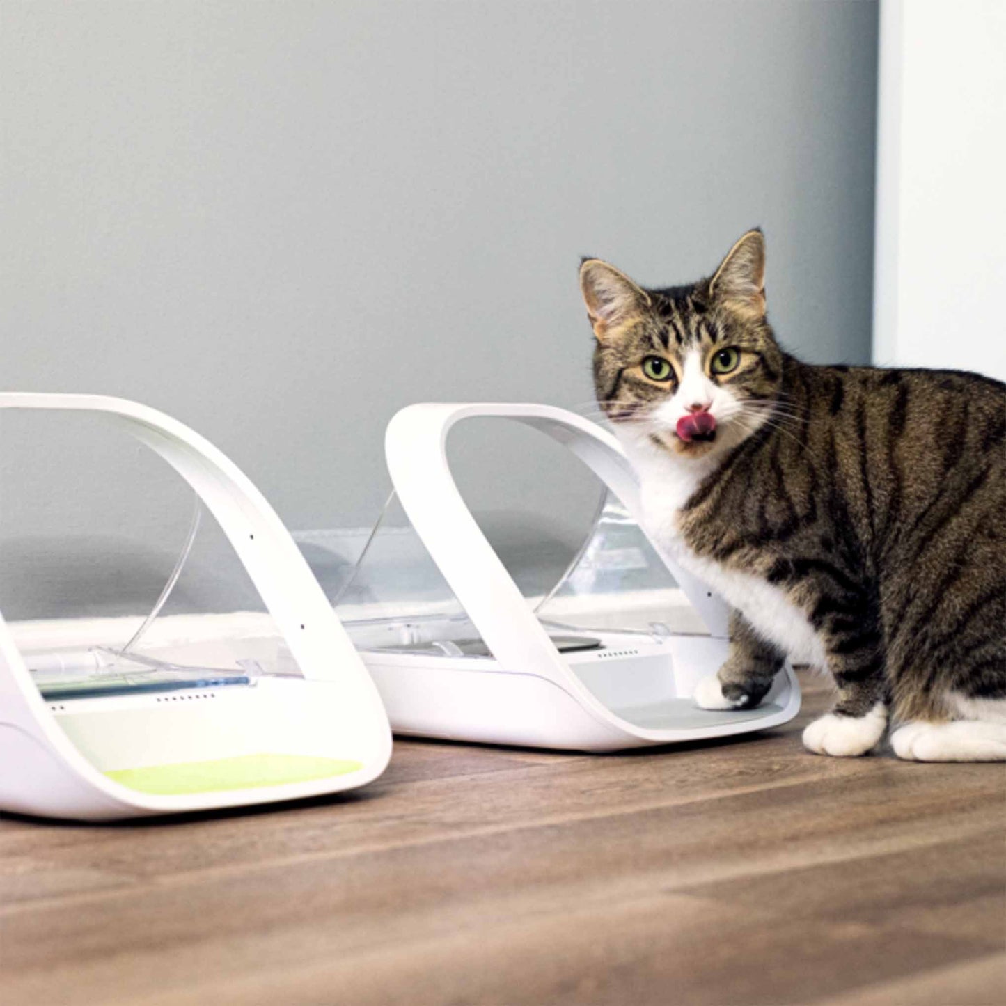 SureFeed Microchip Pet Feeder Connect & Hub Bundle