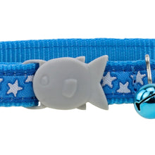 White Star Cat Collar - Turquoise