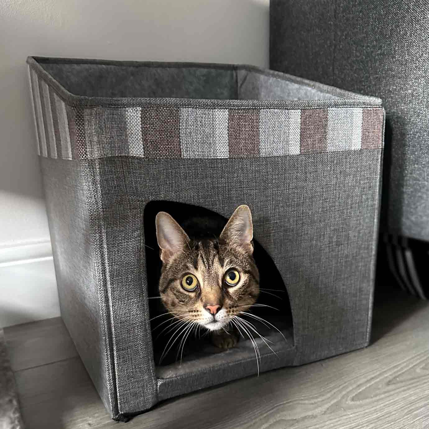 Purrshire Foldable Cat House