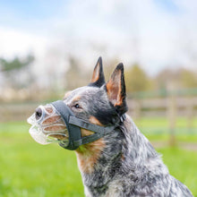 Baskerville INVISA Dog Muzzle - Size 3