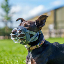 Baskerville INVISA Dog Muzzle - Size 1