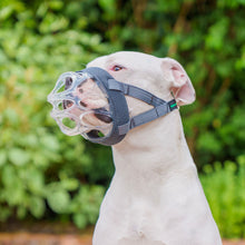 Baskerville INVISA Dog Muzzle - Size 4