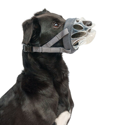 Baskerville INVISA Dog Muzzle - Size 2