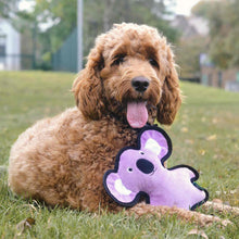 Beco Rough & Tough Recycled Koala Dog Toy - Medium