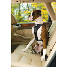 Kurgo Enhanced Tru-Fit Smart Harness Inc. Seat Belt Tether - XLarge