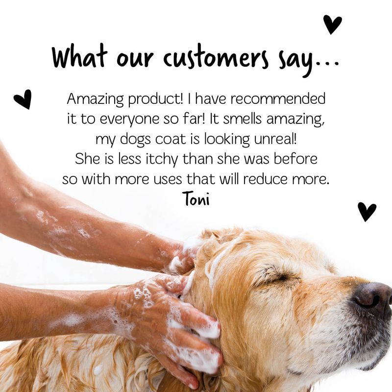 Bugalugs Medi Fresh Dog Shampoo - 500ml