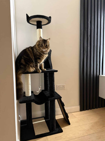 Purrshire Adventure Cat Activity Centre