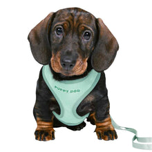 Trixie Soft Puppy Harness with Lead - Lilac
