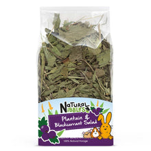 Natural Nibbles Plantain & Blackcurrant Salad - 100g