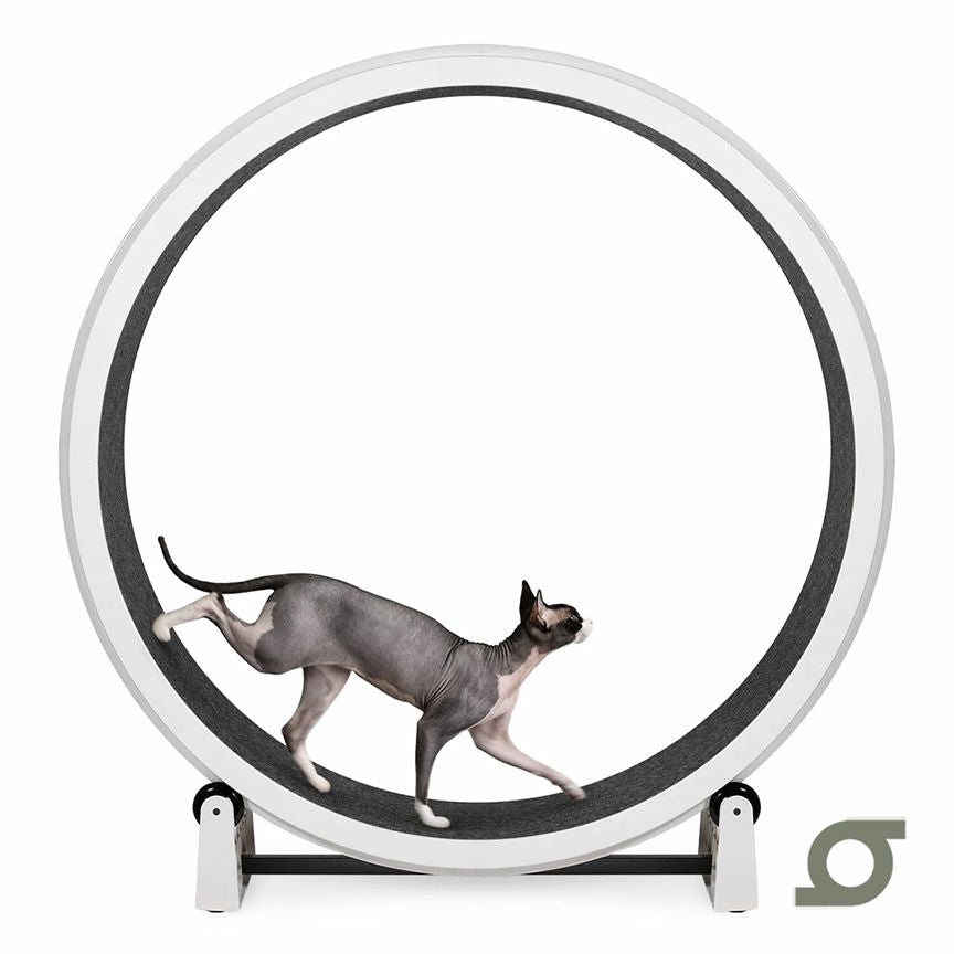 One Fast Cat Exercise Wheel - Gen 7 - 48 inches - White