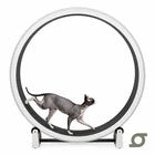 One Fast Cat Exercise Wheel - Gen 7 - 48 inches - White