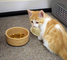 Mason Cash Cat Bowl - 13cm