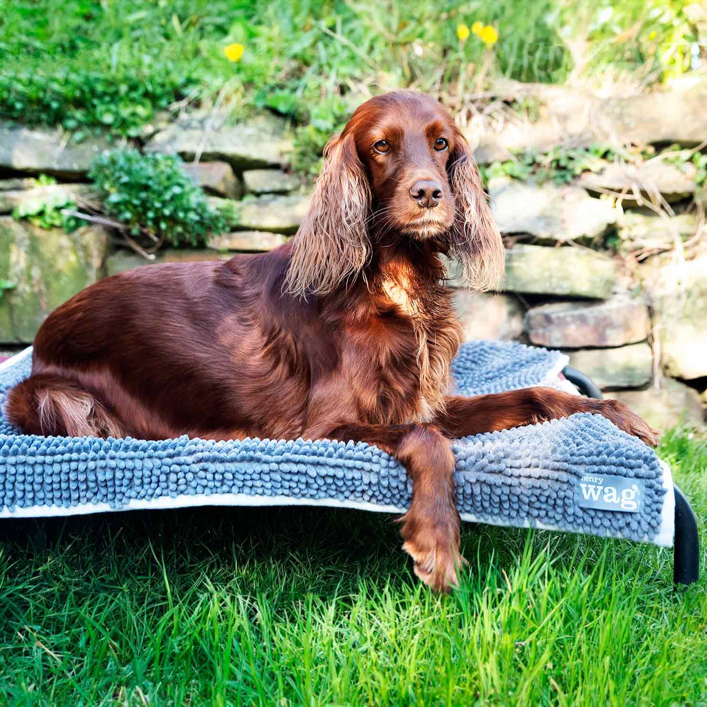 Henry Wag Microfibre Noodle Pet Mat - Large 80x65cm