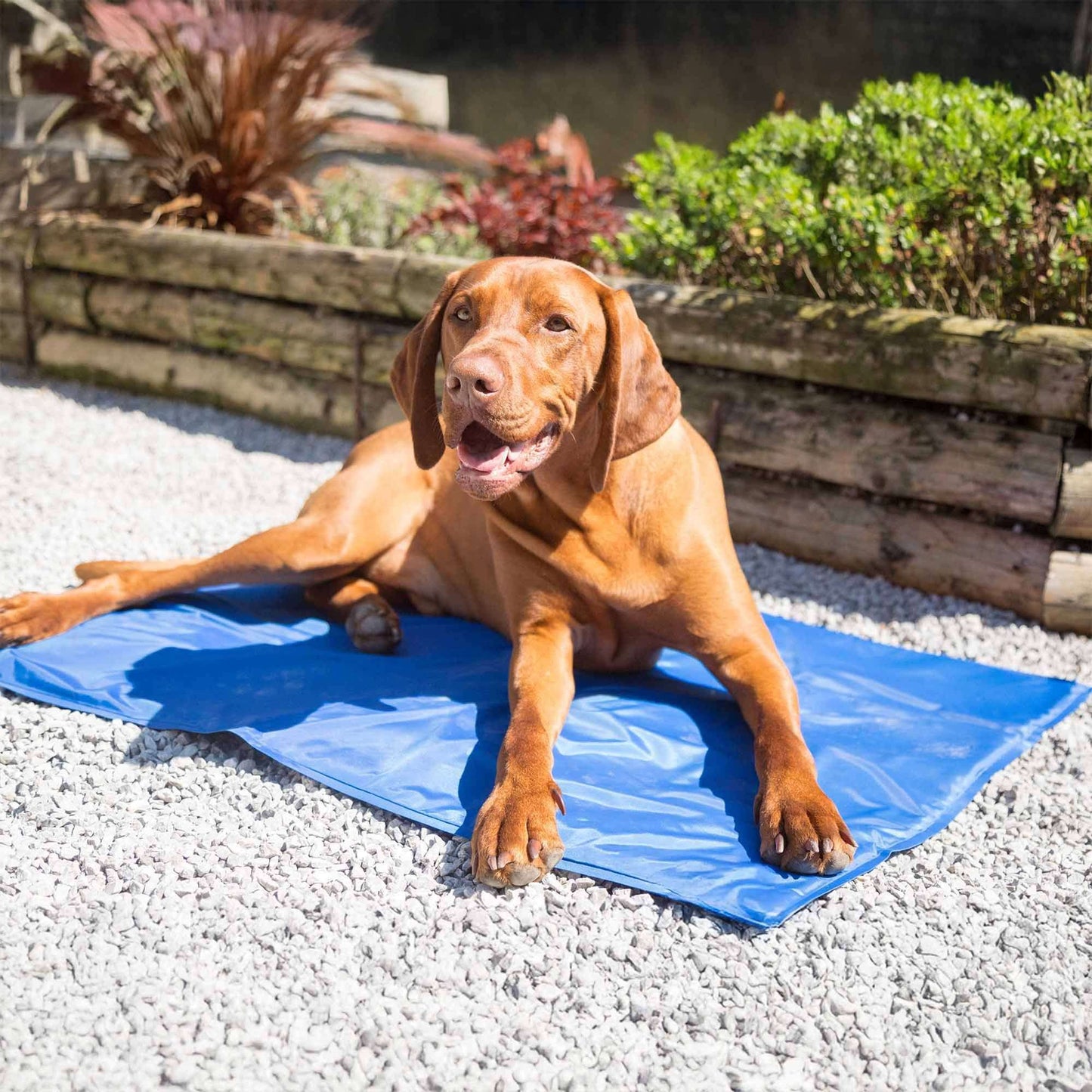 Danish Design Pet Cooling Mattress -  70x110cm