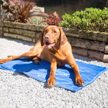 Danish Design Pet Cooling Mattress -  70x110cm