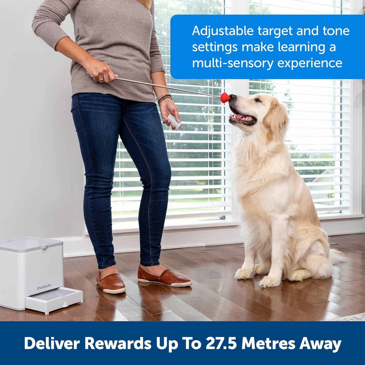 PetSafe Teach & Treat Remote Reward Trainer