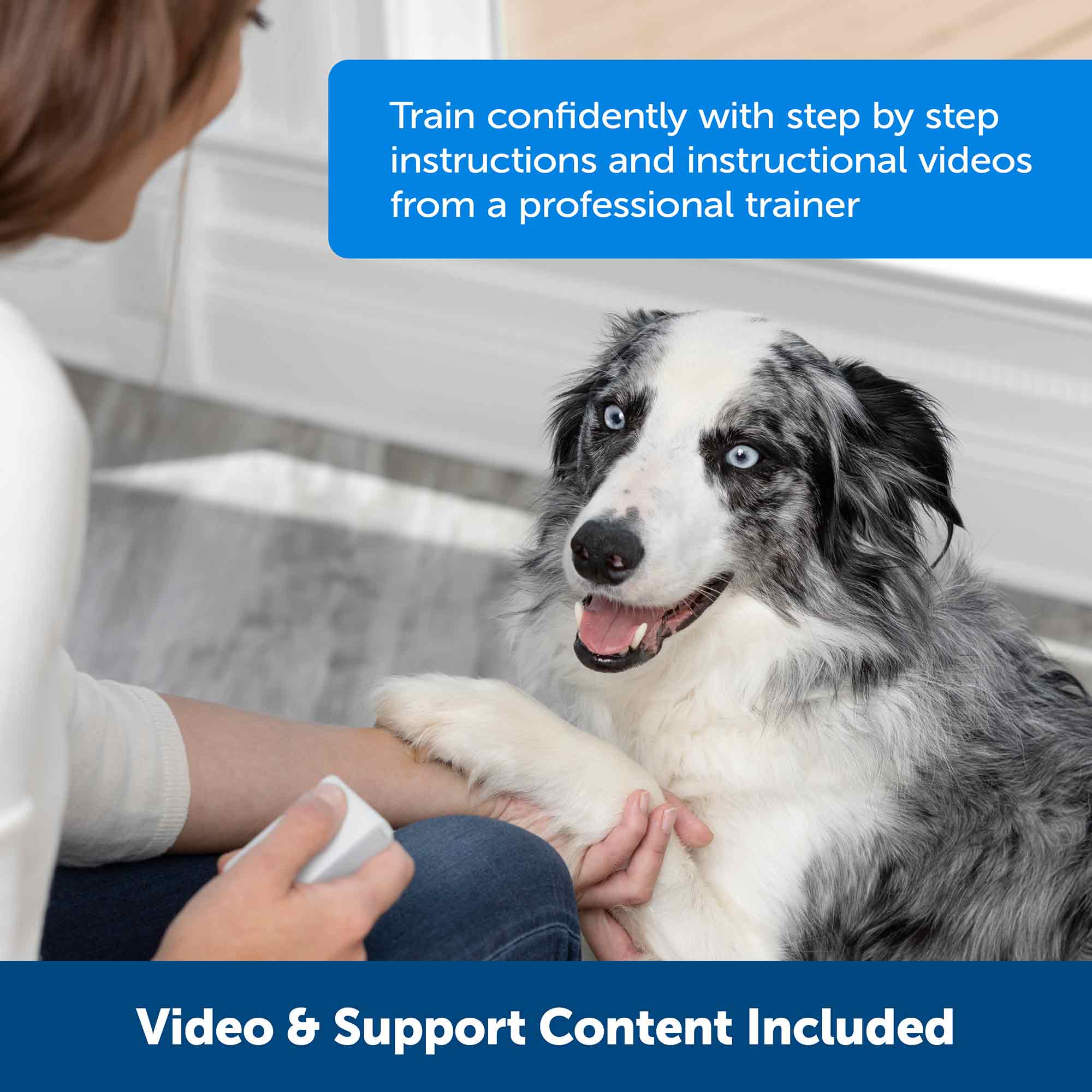 PetSafe Teach & Treat Remote Reward Trainer – Petplanet