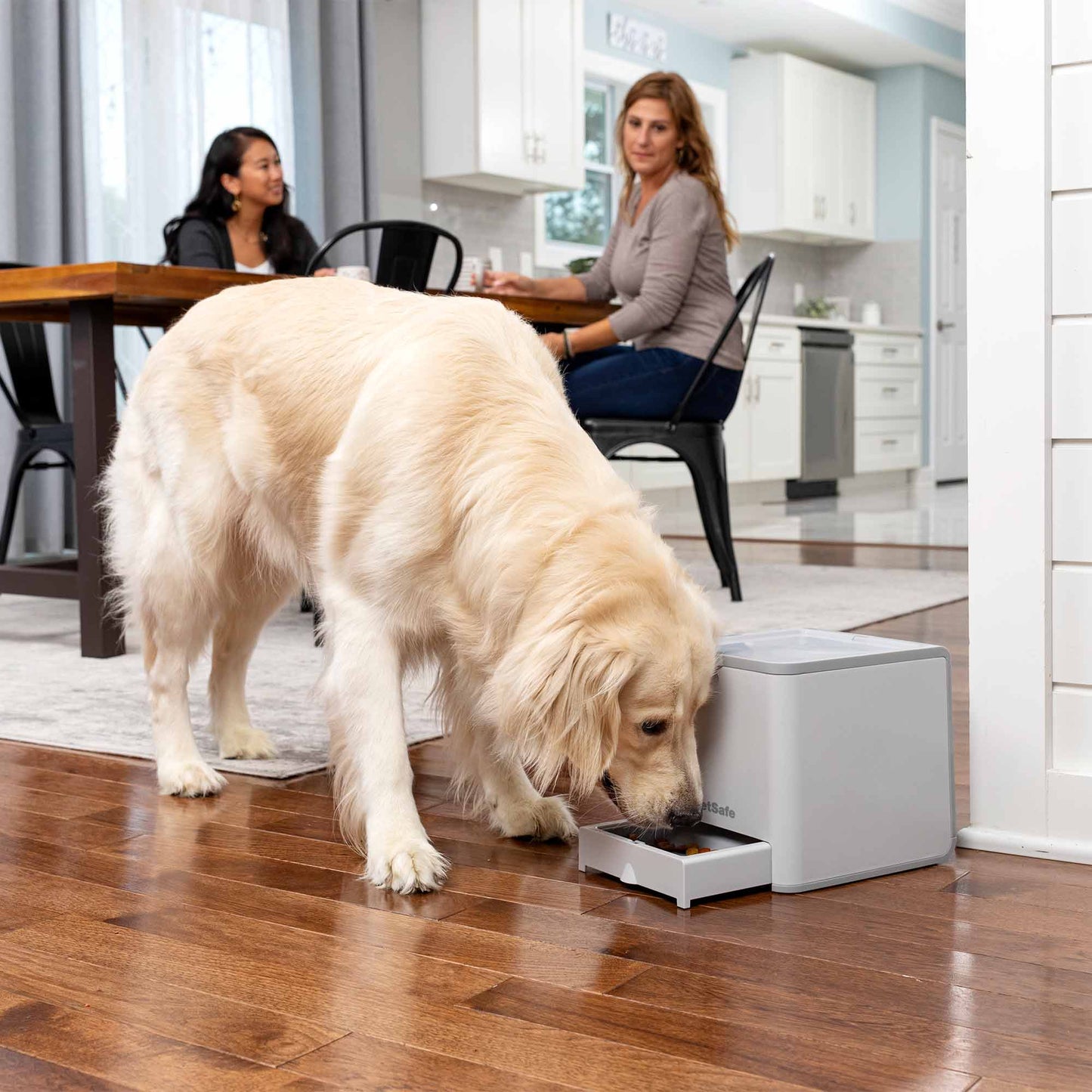 PetSafe Teach & Treat Remote Reward Trainer