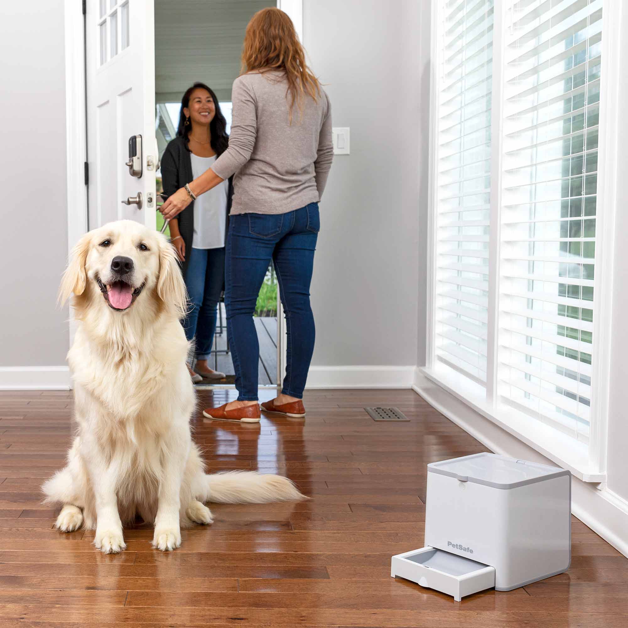 PetSafe Teach & Treat Remote Reward Trainer – Petplanet PetSafe Teach & Treat Remote Reward Trainer – Petplanet