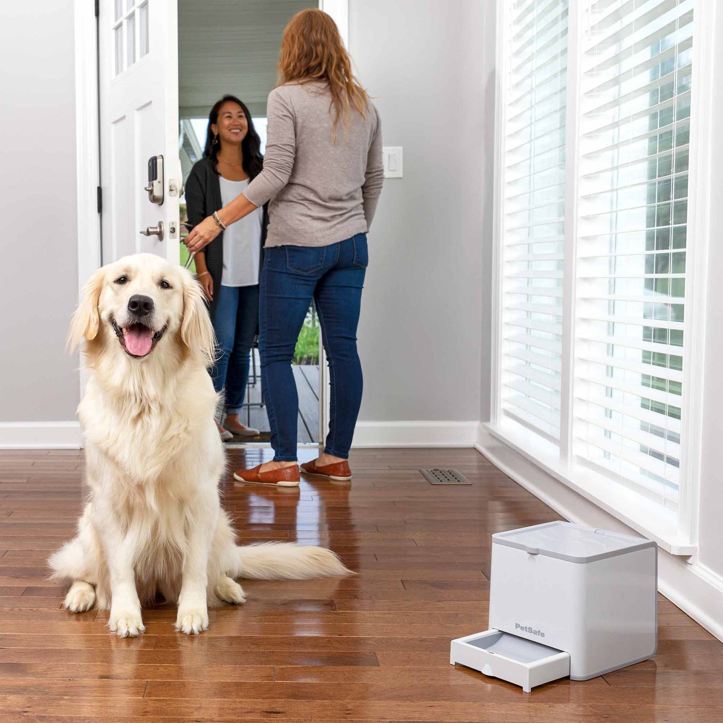 PetSafe Teach & Treat Remote Reward Trainer