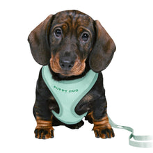 Trixie Soft Puppy Harness with Lead - Mint