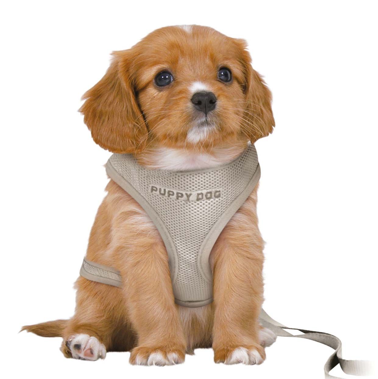 Trixie Soft Puppy Harness with Lead - Light Grey