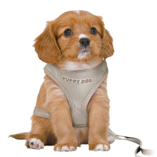 Trixie Soft Puppy Harness with Lead - Light Grey