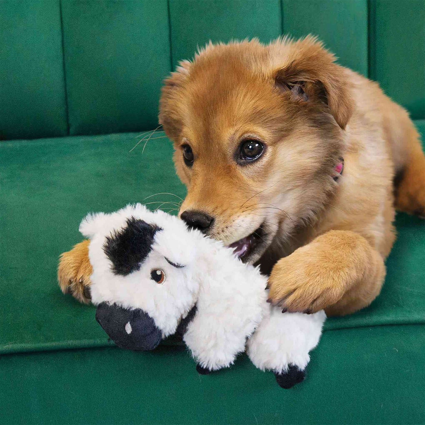 KONG Comfort Tykes Cow Dog Toy - Small