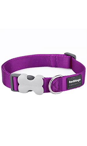 Classic Dog Collar - Purple