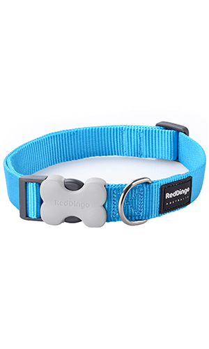 Classic Dog Collar - Turquoise