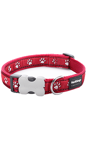 Desert Dog Collar - Red