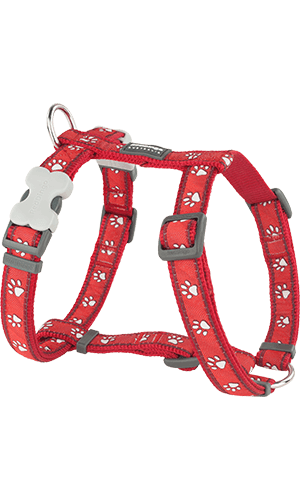Desert Dog Harness - Red