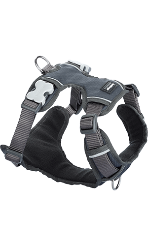 Padded Dog Harness - Grey